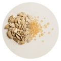 Pumpkin Seed Oil